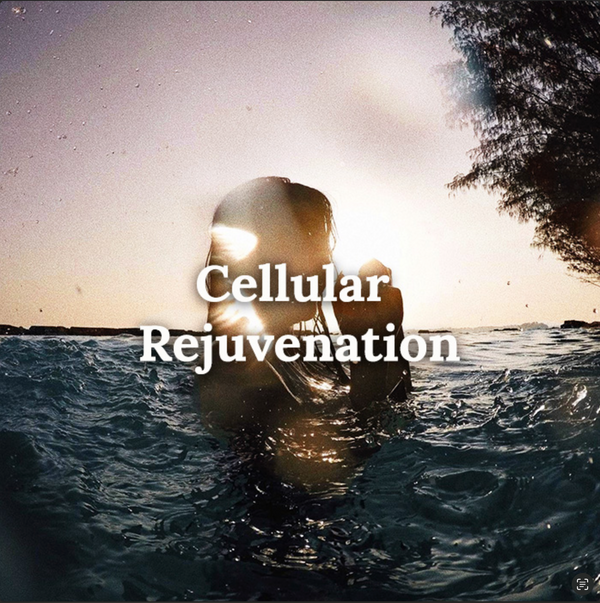 A person immersed in ocean water at sunset, silhouetted by the sun with text reading ‘Cellular Rejuvenation,’ suggesting a refreshing connection to marine wellness.