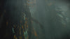 Underwater video footage of a fish swimming through flowing kelp, evoking marine vitality and natural oceanic ecosystems.
